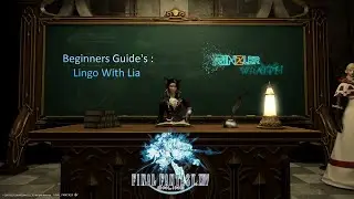 Lingo with Lia : A beginners guide to in game terms