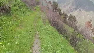 Трейл Разминка