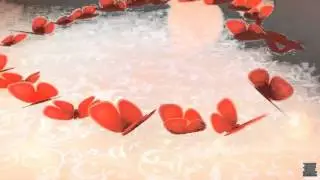 Sweet Butterflies Valentine's Day Card (After Effects)