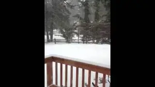 Snowing big time in Twin Peaks