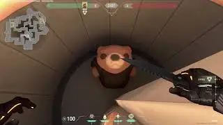 All 15 Secret Bears on Pearl | Valorant