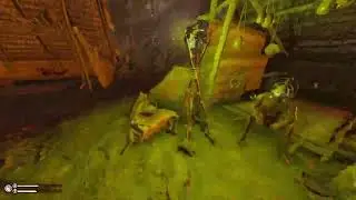 Spirits of Amazonia Part 3