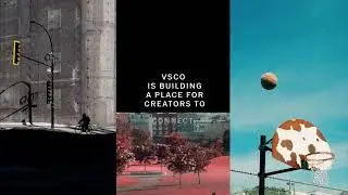 What's New At VSCO