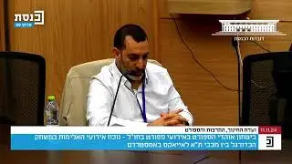 הפוגרום באוהדי הכדורגל באמסטרדם | אבי מזרחי בכנסת: 