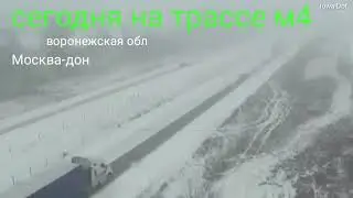 11 ноября 2018 г.