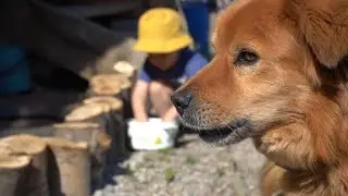 КУДА ПРОПАЛ ДЖЕКИ??? ЧТО МОГЛО ПРОИЗОЙТИ?
