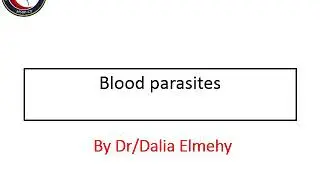 Lab 1 Trypanosoma (Parasitology)