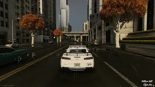 FiveM Visual Graphic | NVE + Reshade preset