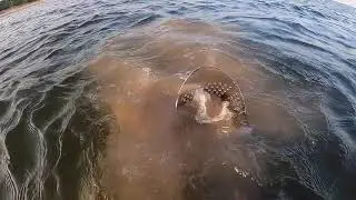 Как правильно работать скубом в воде