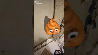 Какашка в тик ток убежала