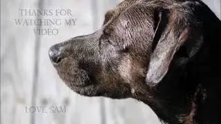 Miss Samantha