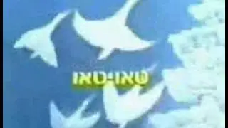 טאו טאו