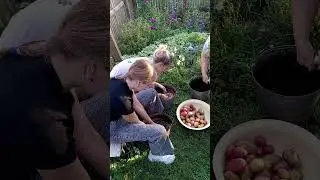 молодёжь трудится в деревне