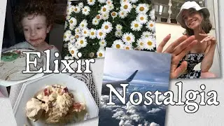 ELIXIR NOSTALGIA  | Luiza Scandelari