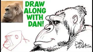 Draw Along With Dan! This week is APE WEEK!! Today we draw a GORILLA!