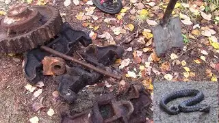 Металлокоп  Встреча со змеёй