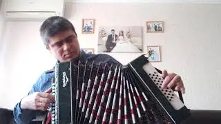 Шуйская Гармонь Чайка м 314