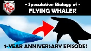 Speculative Biology of Flying Whales!