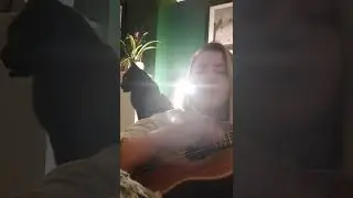 We Fell In Love In October by Girl in Red ~ Ukulele Cover