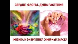Вебинар на тему  'ЭТОТ ПРЕКРАСНЫЙ ЭФИРНЫЙ МИР  ЧАСТЬ II  ЭФИРНЫЕ МАСЛА SISEL INTERNATIONAL'