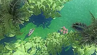 Take a Moment to Immerse Yourself in Serene Aesthetic Nature