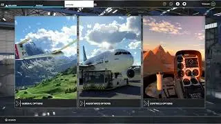 Microsoft Flight Simulator 2020: Xbox Controller Settings ( Light/STOL aircrafts )