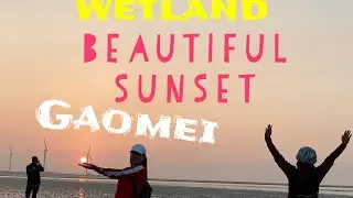 Beautiful sunset at Gaomei Wetland #sunset #Gaomei wetland #crabs #wildlife #birds