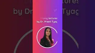 Eye Anatomy and Physiology