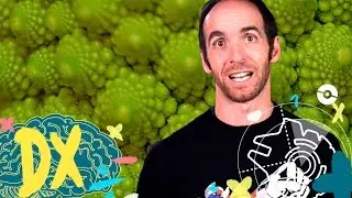 What are fractals?
