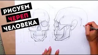 Как нарисовать череп — kalachevaschool.ru — Поэтапный мастер-класс Дарьи Остапенко