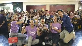 SHY SHY CAT Meet And Greet SOLO