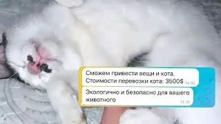 Евгений и Анастасия Ромашовы 25.07.2023