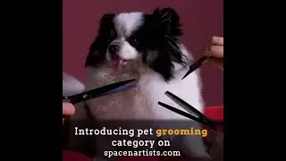 Spacenartists Pet Grooming Category!