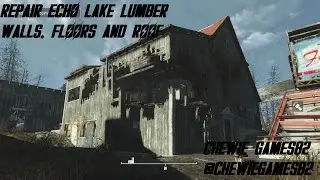 Repair Walls, Floors and Roof at Echo Lake Lumber