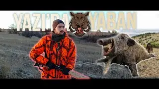 Domuz ve Tavşan vuruşları ile Kısa bir Klip