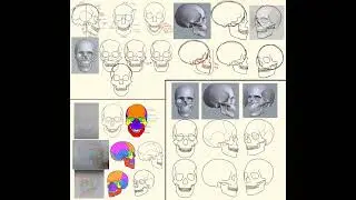 Human Skeleton // Drawing Timelapse