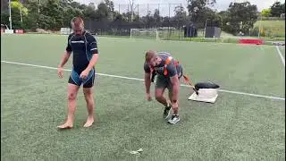 Bear Training; Personal training