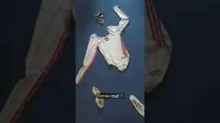 История Елены Мухиной — чемпионка, которую все забыли