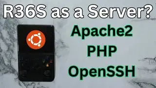 Turning the R36S into a Web Server with SSH Access