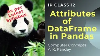 DATAFRAME ATTRIBUTES | ATTRIBUTES OF DATAFRAME | DATAFRAME ATTRIBUTES IN PYTHON PANDAS | CLASS 12