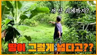 동남아 동네에 염소 키울 땅을 보는데.... 저 산 위에까지라고?? .. 밤늦게 사라진 염소.. 찾을 수 있을까요? 필리핀 산골 이야기