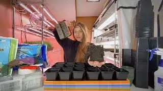 Everything I Use For Seed Starting & Why! - 2024 Edition