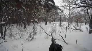 Выход косули на номер. Лицензии НЕБЫЛО, поэтому не стрелял!