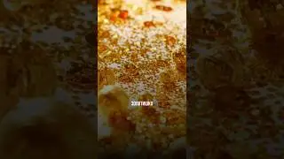 Это решит кучу твоих вопросов 💯 