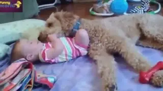 смешные видио ролики приколы детей приколы про детей с надписями приколы с детьми смех