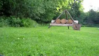 SKS Bayonet Throwing