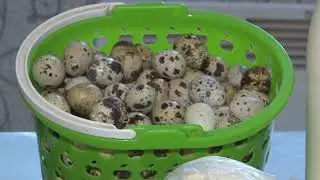 Фермерское хозяйство в деревне Зайцево