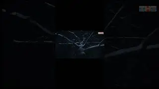 ну как же прикольно всё начинались... 