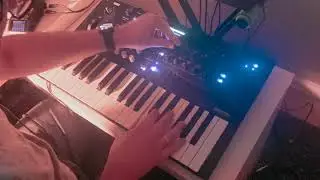 KORG Wavestate Live Dawless Performance 1