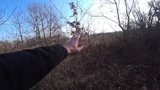 НОЯБРЬ! ВРЕМЯ КОГДА НАДО КОПАТЬ КЛАДЫ!